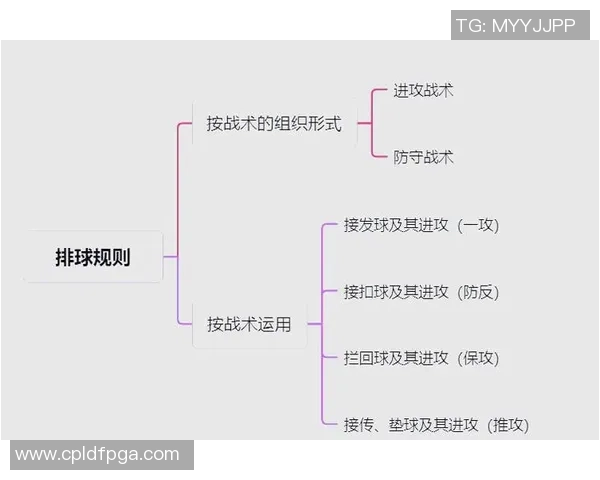 杭州排球队的转换打法深度分析与战术解读 杭州排球队的转换打法深度分析与战术解读