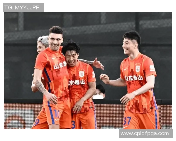 深入分析成都排球队阵地战战术及其战术优势与应用